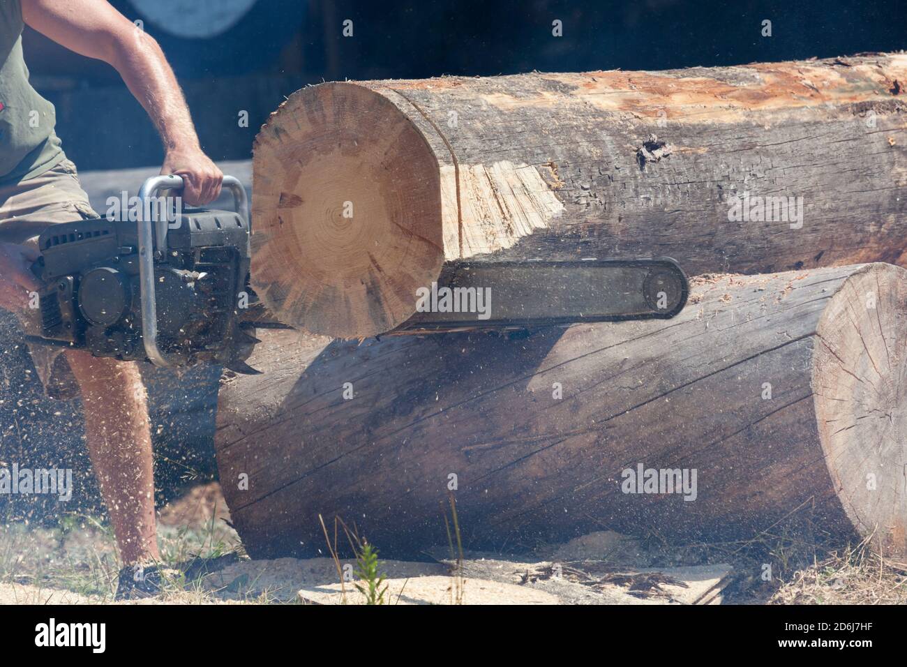 A man uses a chainsaw to cut off a round of a log as sawdust flys at one of the last remaining timber carnivals in Oregon. Stock Photo