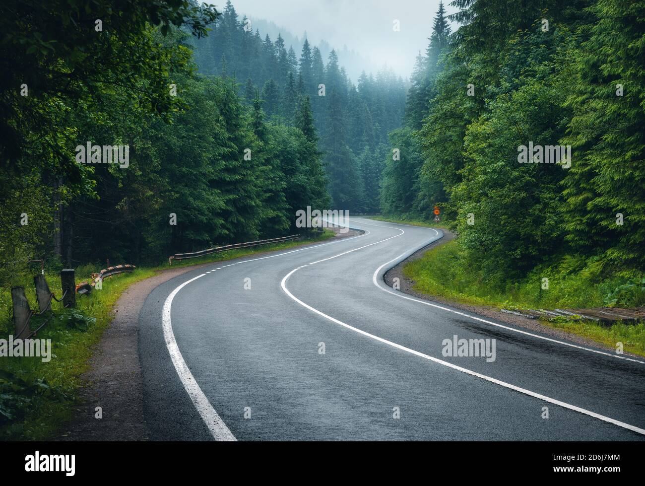Road in foggy forest in rainy day in spring Stock Photo - Alamy