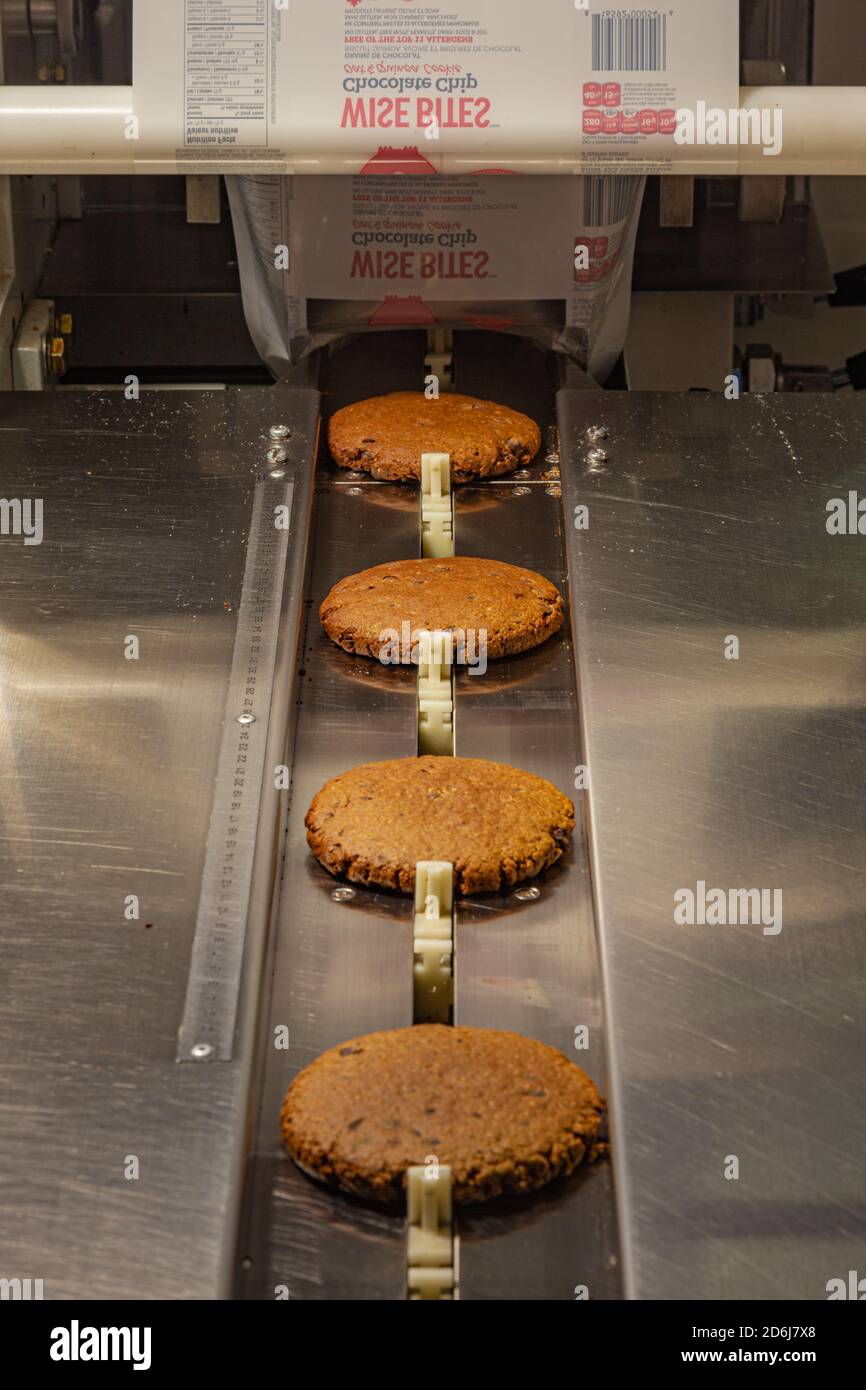 Large cookies on the conveyor of a commercial factory flow wrapping machine to form individually wrapped cookies Stock Photo