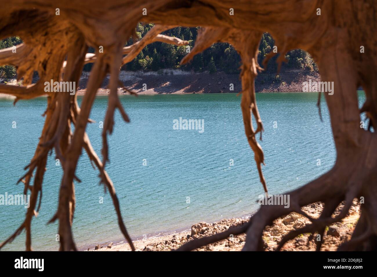 Roots from an old tree that erosion has exposed creates a natural frame ...