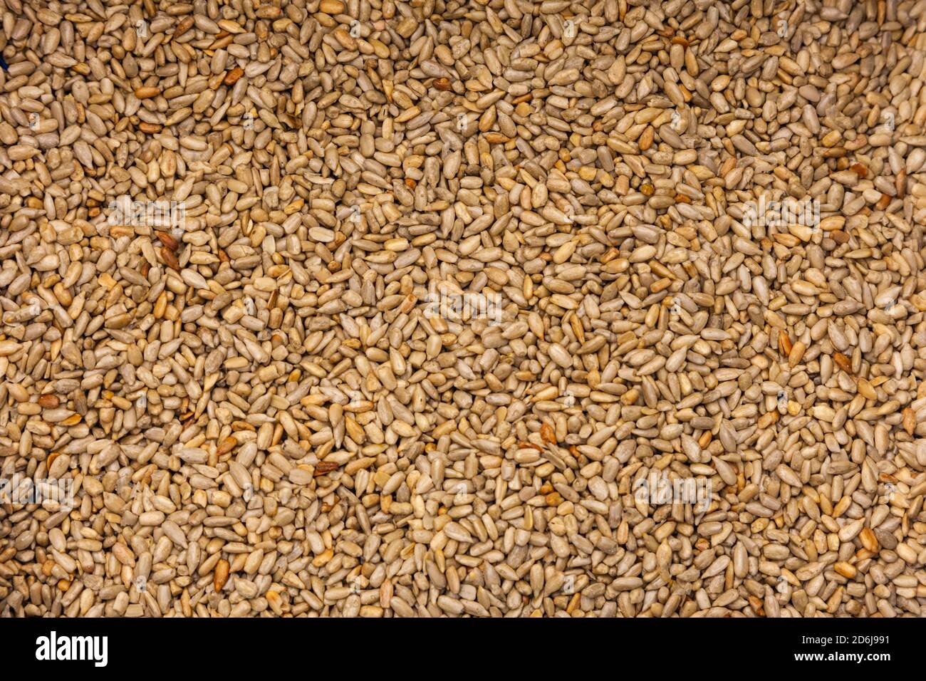 Shelled and processed Sunflower Seeds in bulk Stock Photo Alamy