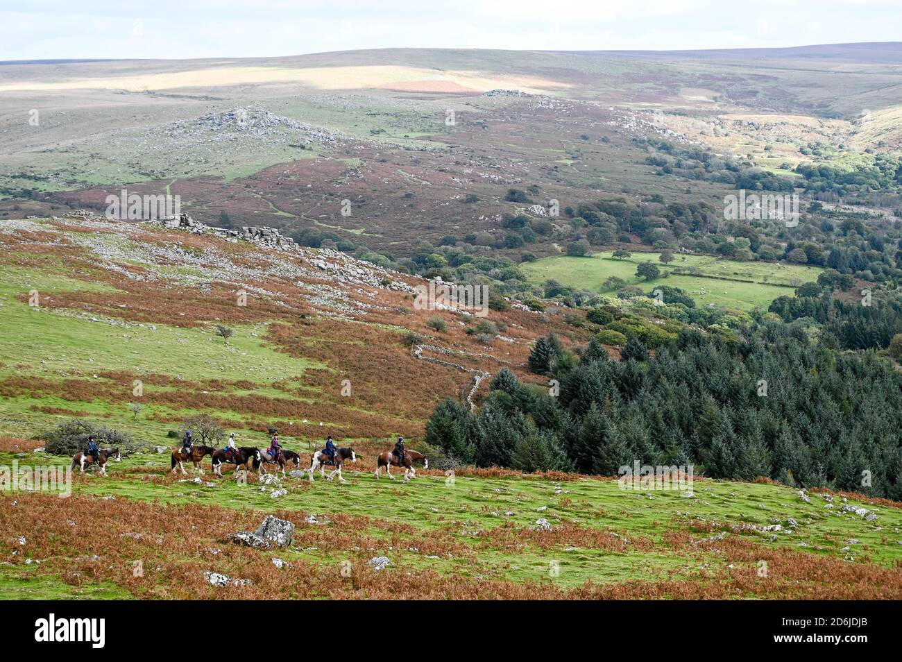 View from the top of Leather Tor, Dartmoor National Park, with moorland, woodland and horse riders hacking in natural countryside Stock Photo