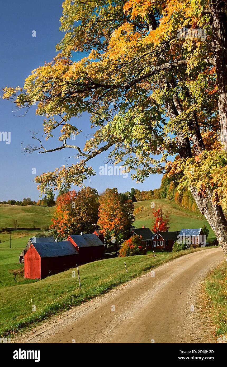 The Jenny Farm during autumn time - Redding, Vermont Stock Photo