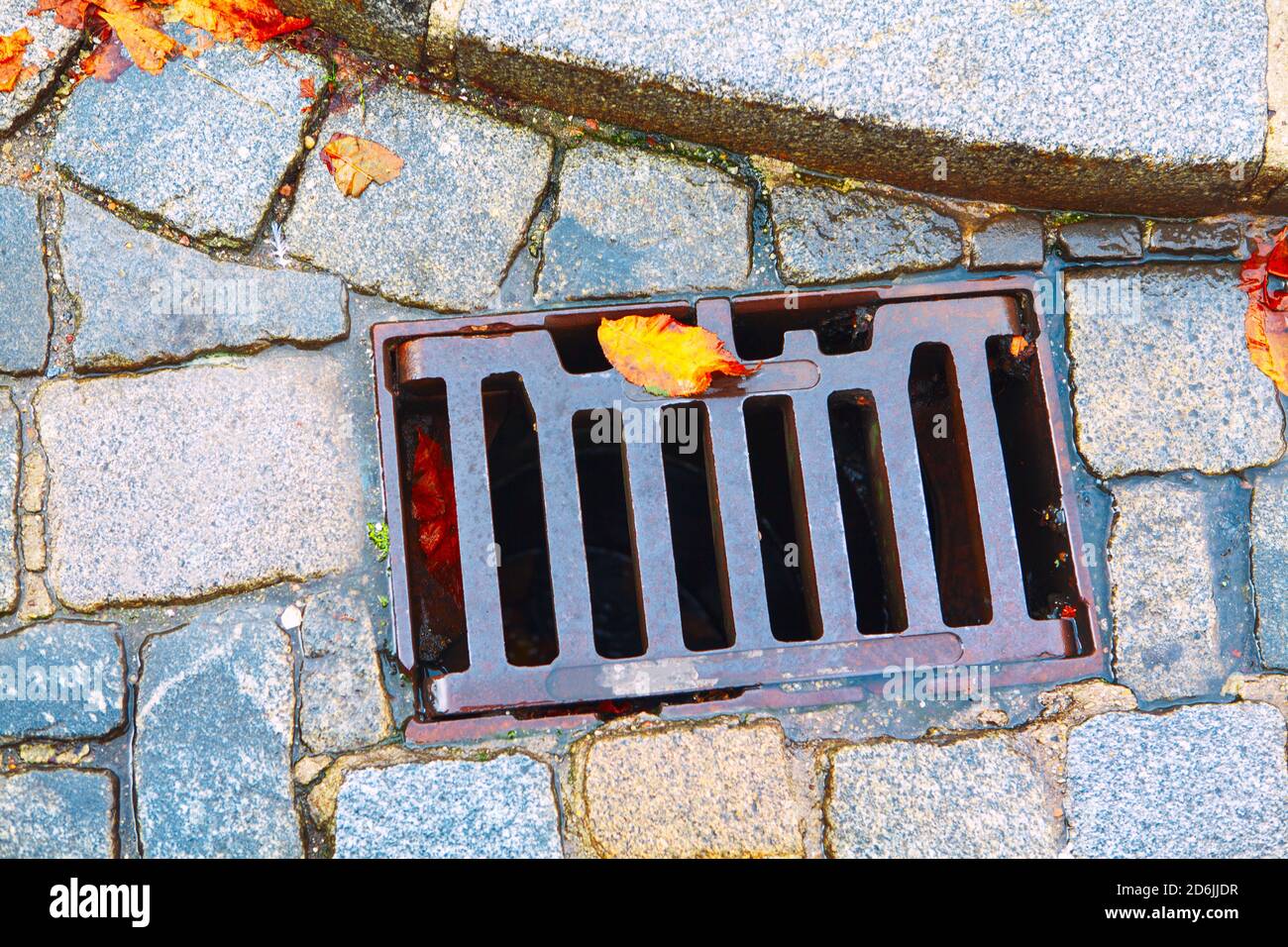 Street drain grate in the autumn . Colorful leaves on the pavement Stock Photo