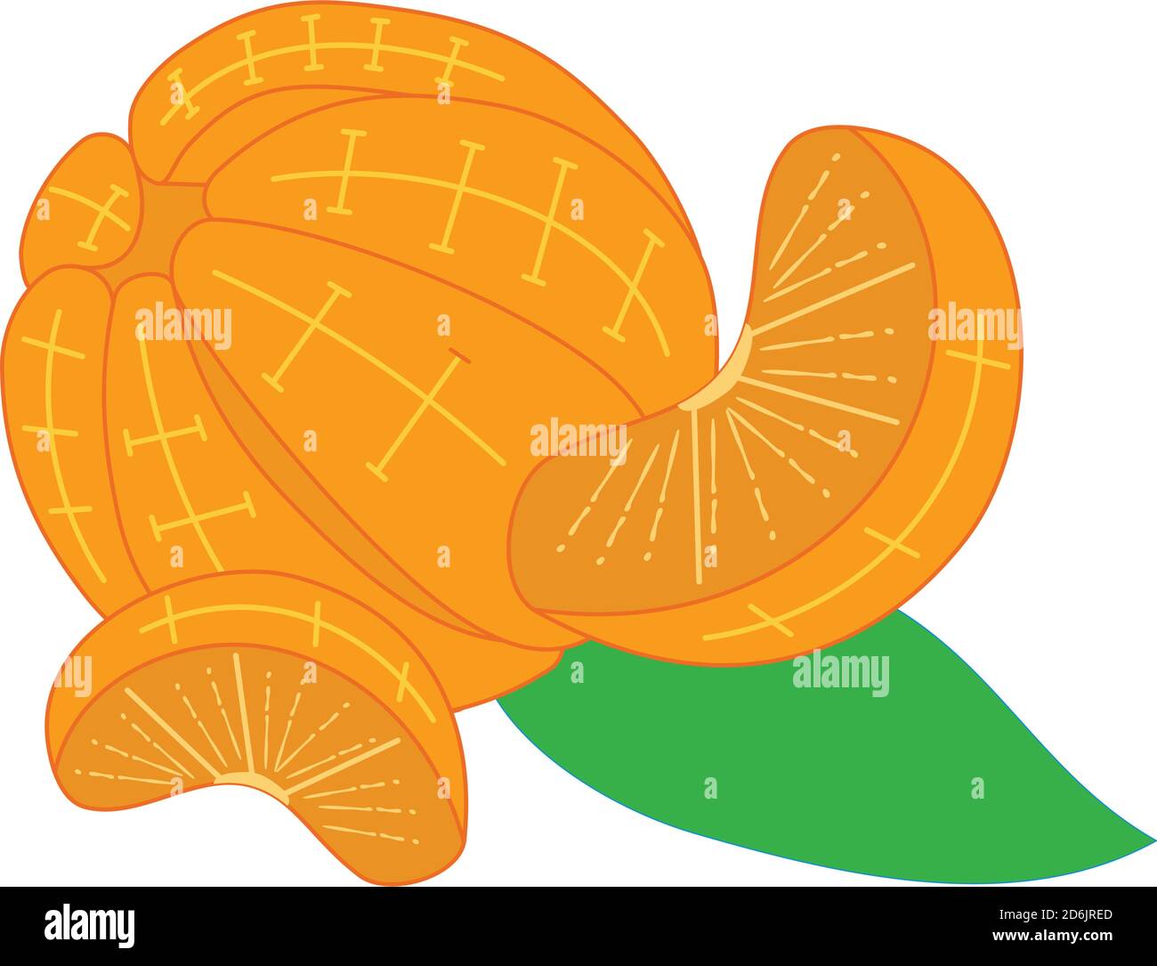 Orange without peel illustration Design Template Stock Vector