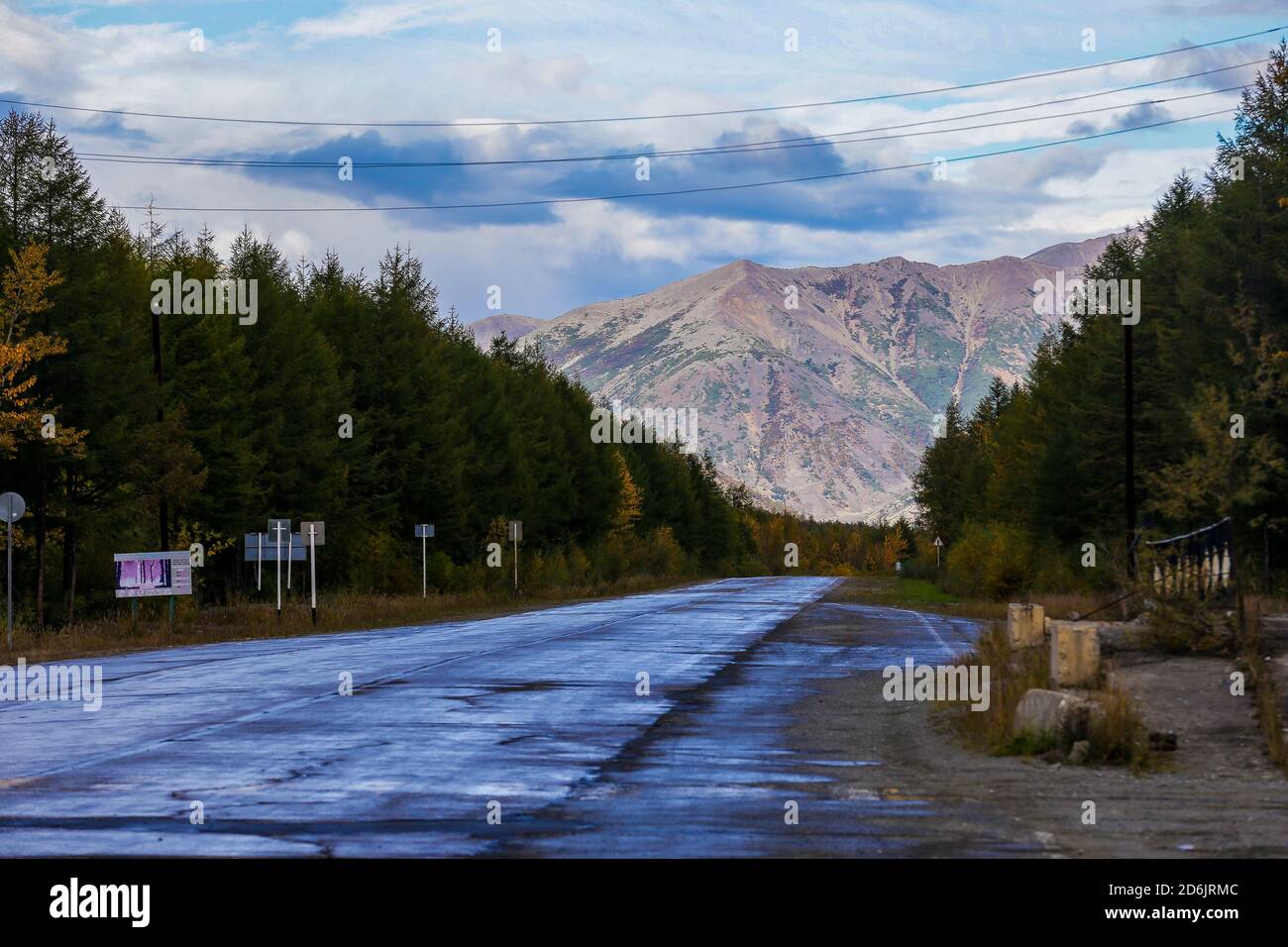 An asphalt road among bright trees, stretching into the distance to ...