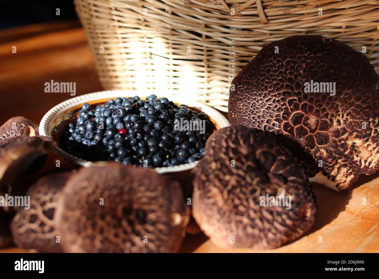 A mushroom forays yield, with Scaly hedgehog and blueberries. Stock Photo
