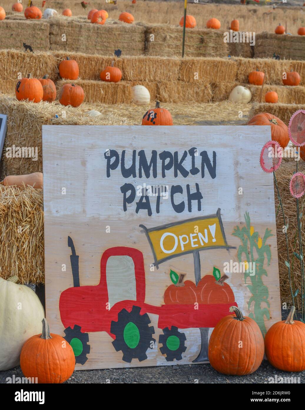 pumpkin patch ontario oregon