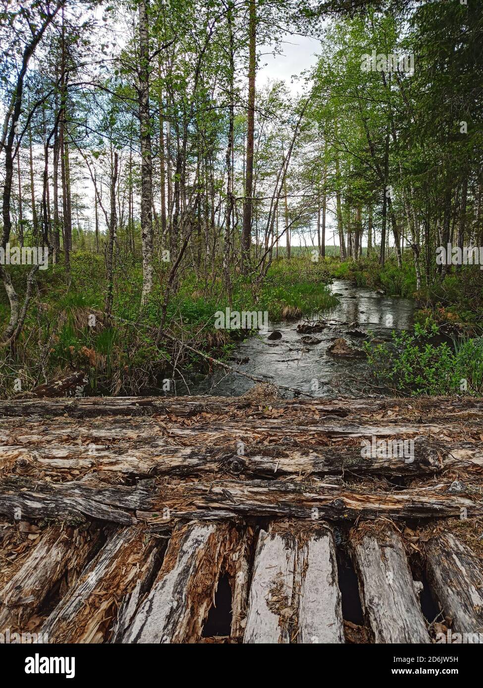 Bridge over small stream near lake Petttrasket in Vasterbotten, Sweden