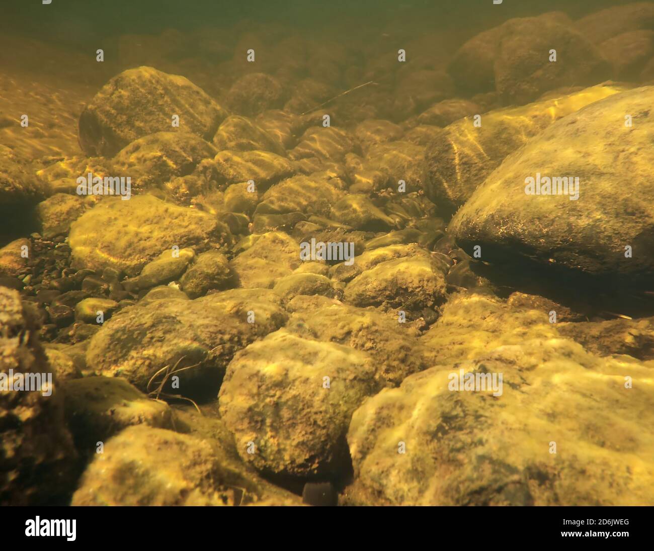 Underwater shot of rocks in a shallow stream Stock Photo - Alamy