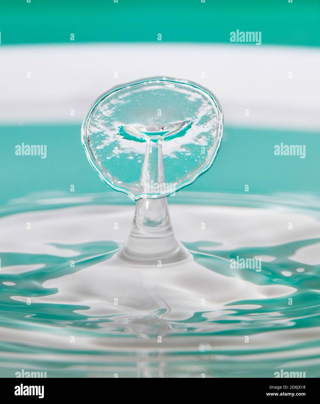 Abstract background of splash of color water, collision of colored ...