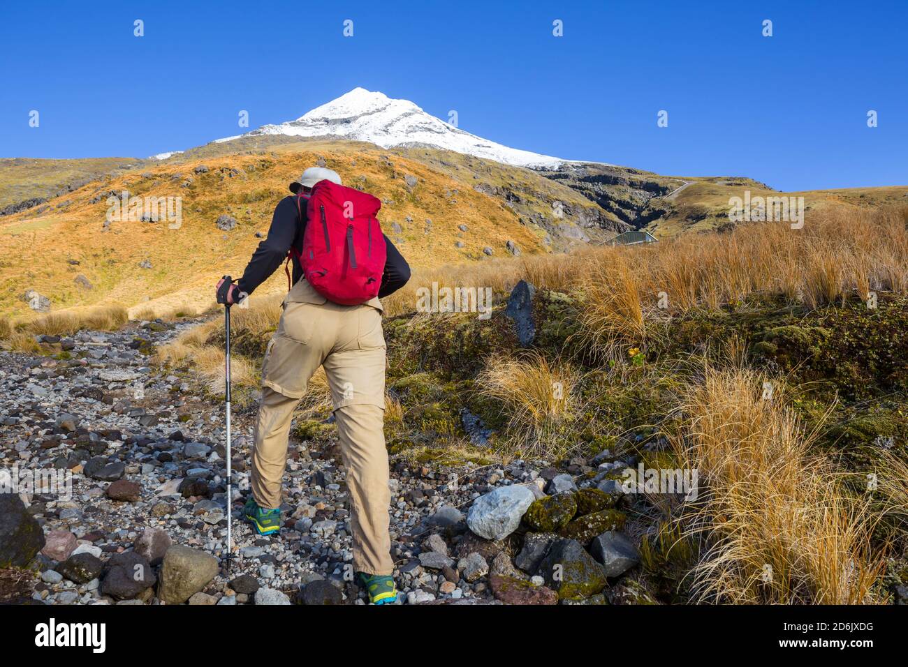 Mount Taranaki / Mount Egmont In Egmont National Park, North Island ...