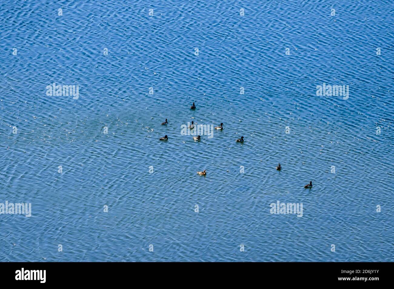 blue background, in Sweden Scandinavia North Europe Stock Photo Alamy