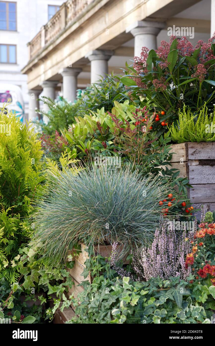 Covent garden art installation hires stock photography and images Alamy