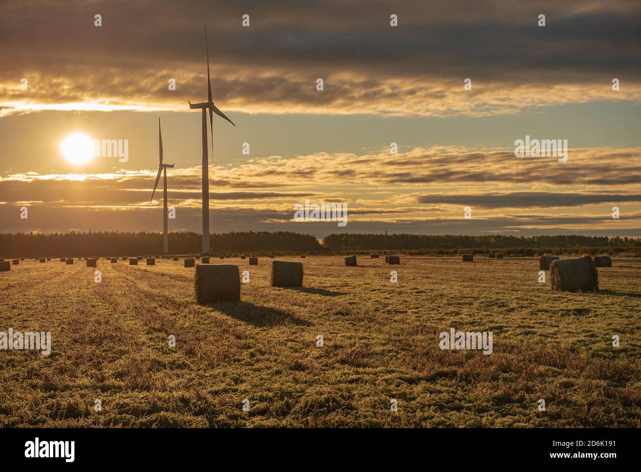 sunrise in the meadow and wind generators spin to produce electricity and the grass is covered with dew, but the sky is clouded Stock Photo