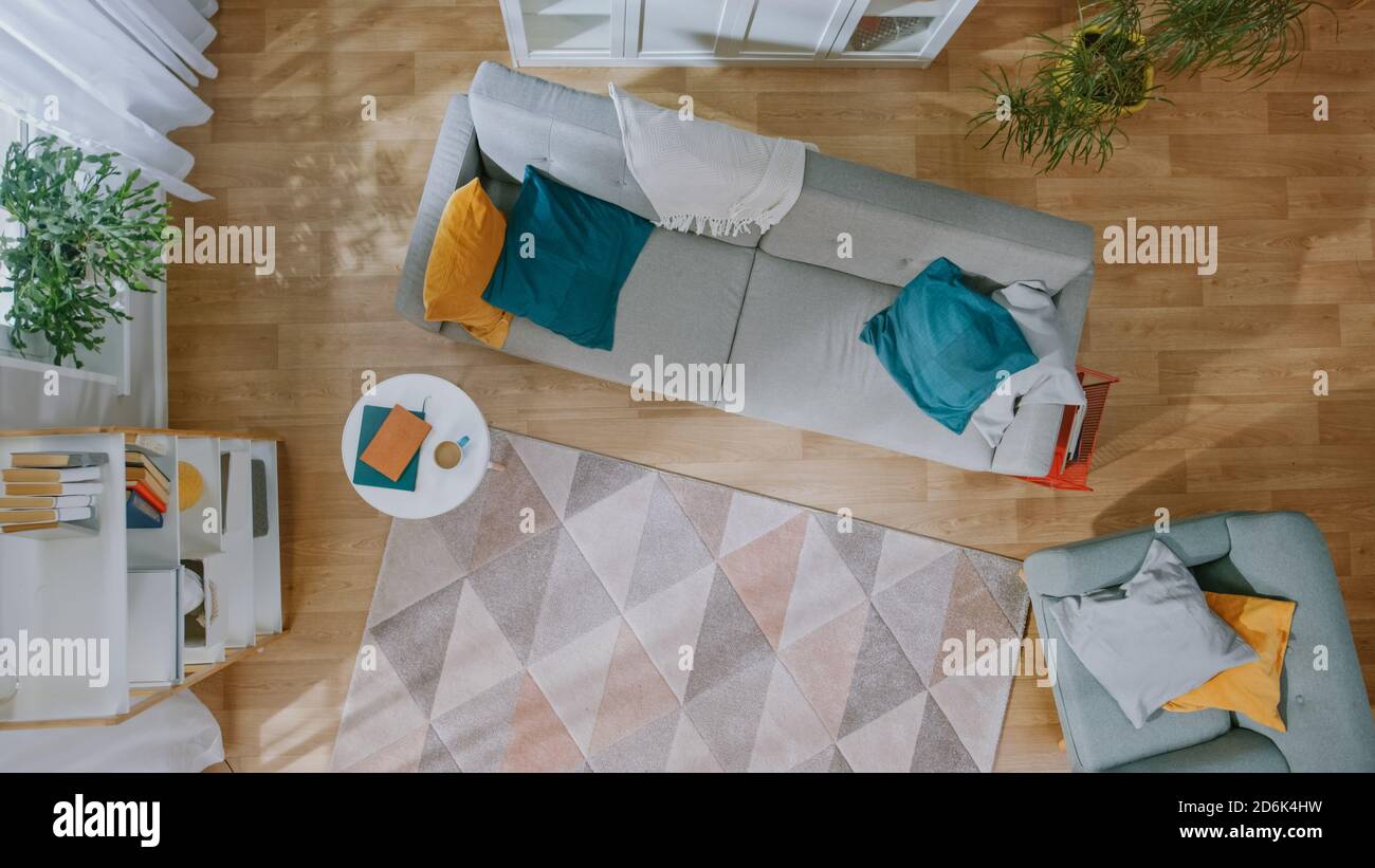 Empty Living Room with Nobody in it. Modern Interior with Carpet, Grey