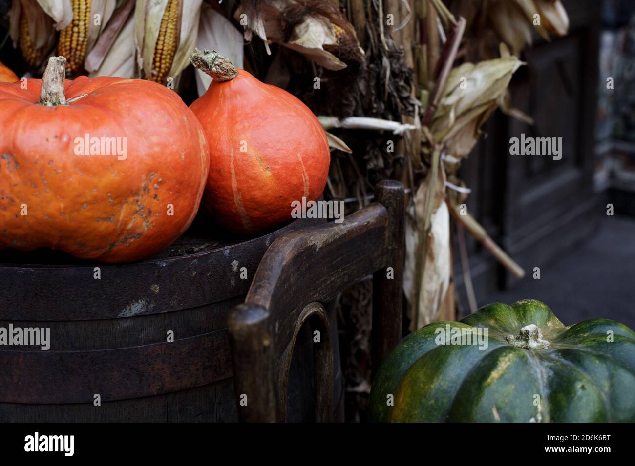 Pumpkin With Large Dark Green Stem High Resolution Stock Photography And Images Alamy