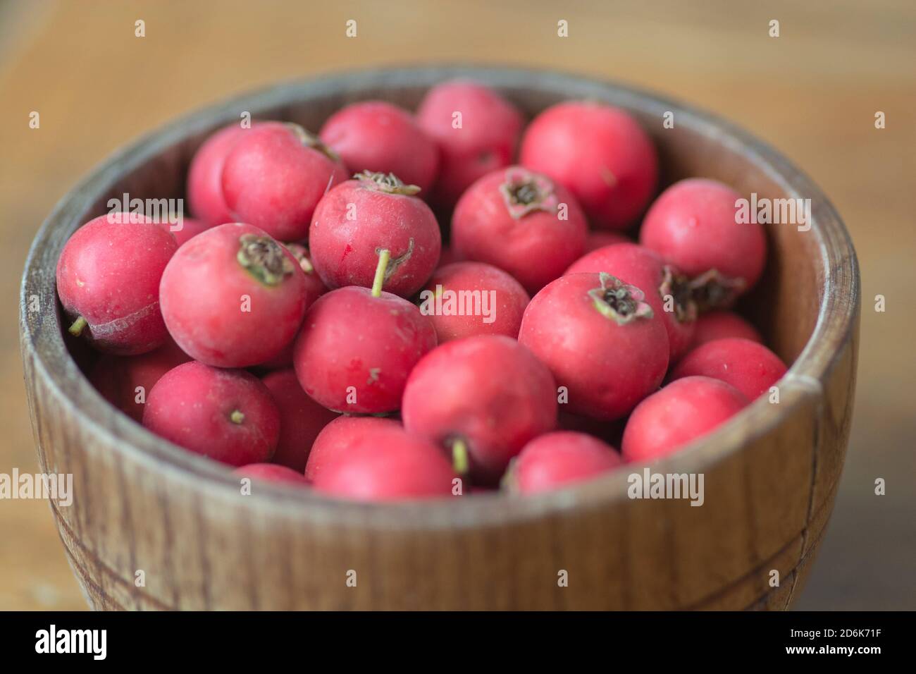 Red Scarlet Hawthorn fruits (Crataegus coccinea), piled up in wooden bowl Stock Photo