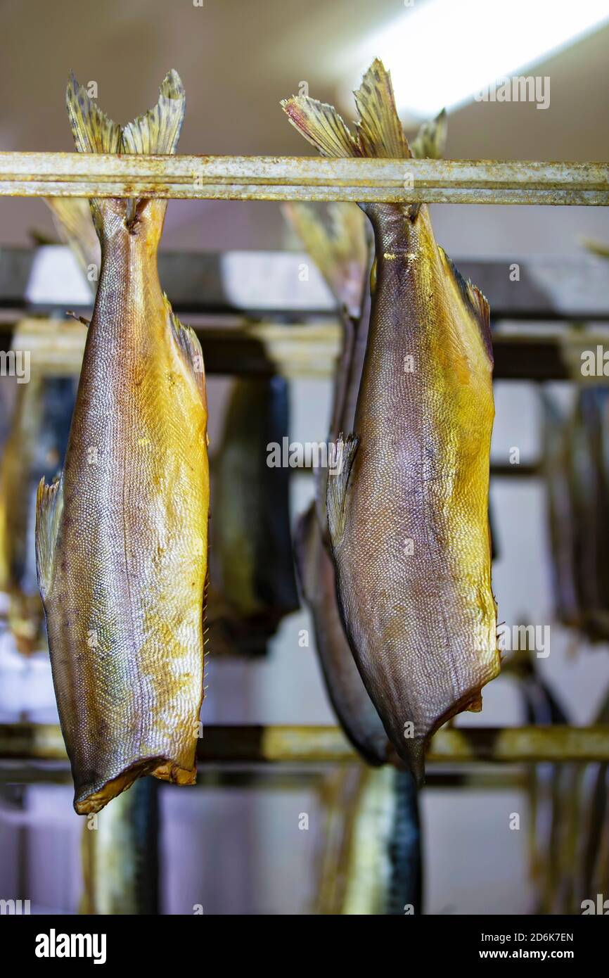 Smoked mackerel close-up. Fishing industry.Mackerel in a smoking oven. Stock Photo
