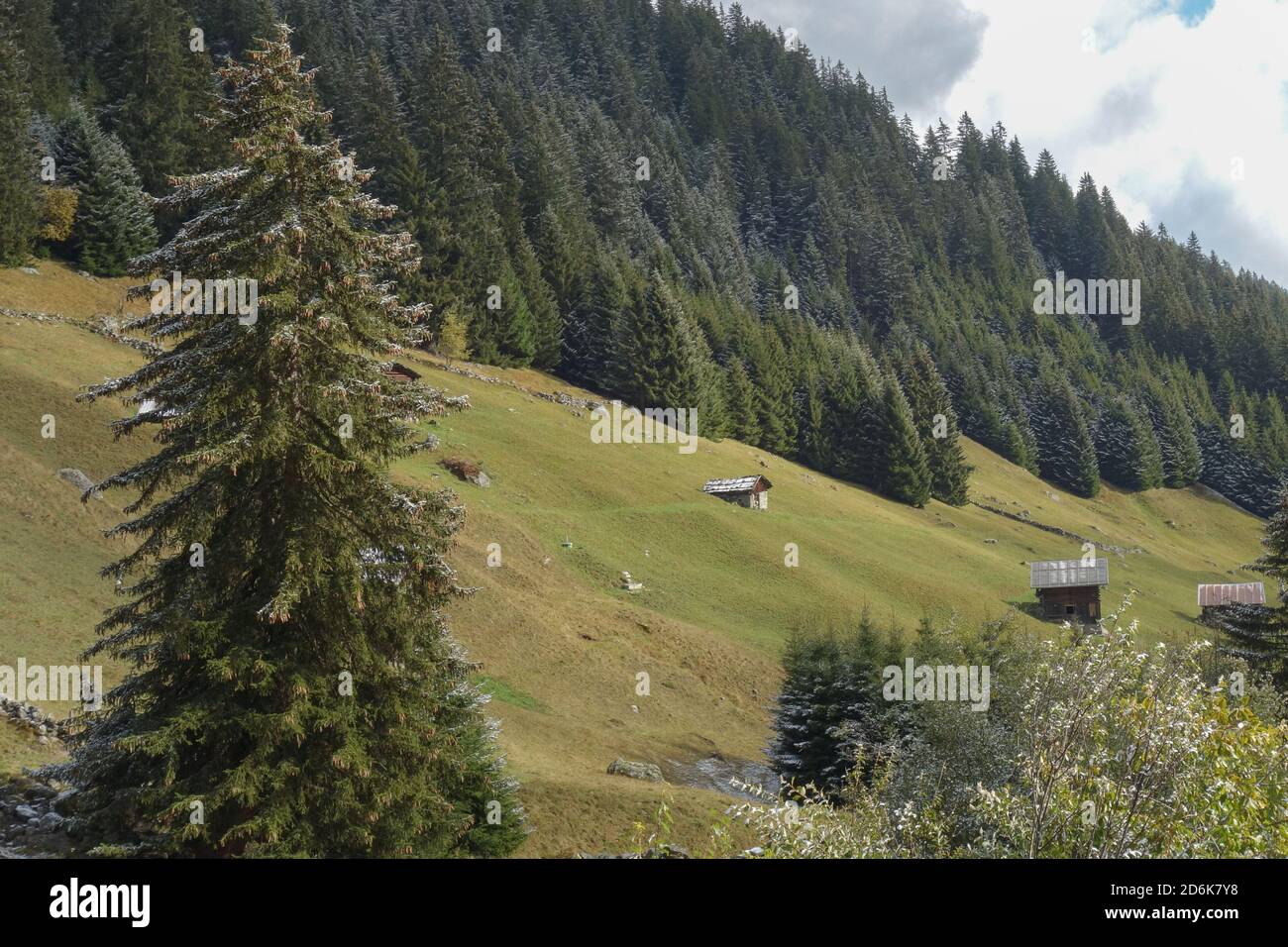 Autumn time in the swiss alps Stock Photo - Alamy