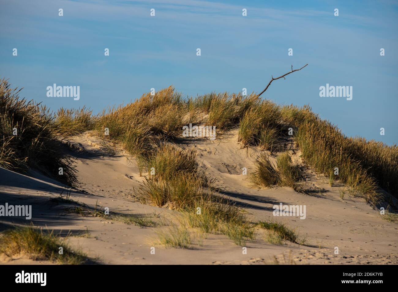dune landscape Grenen, Denmark Stock Photo