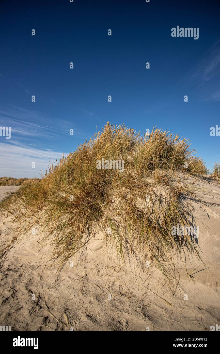 dune landscape Grenen, Denmark Stock Photo