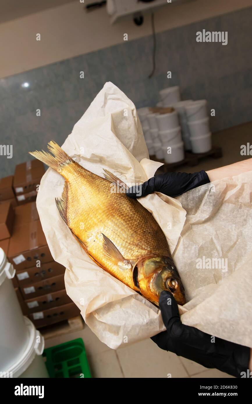 Smoked mackerel in hands in a warehouse. Stock Photo