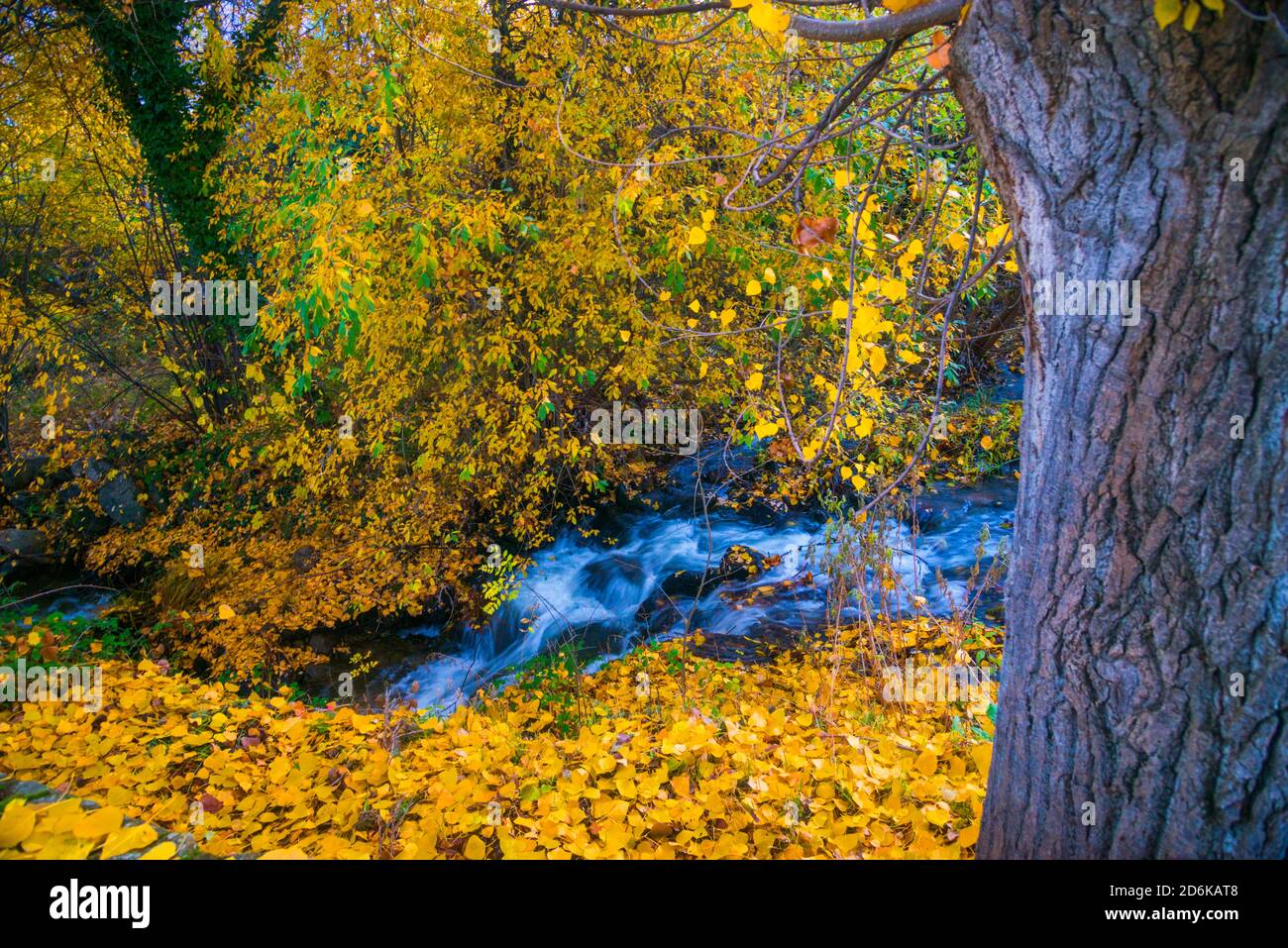 Riverbank in Autumn. Stock Photo