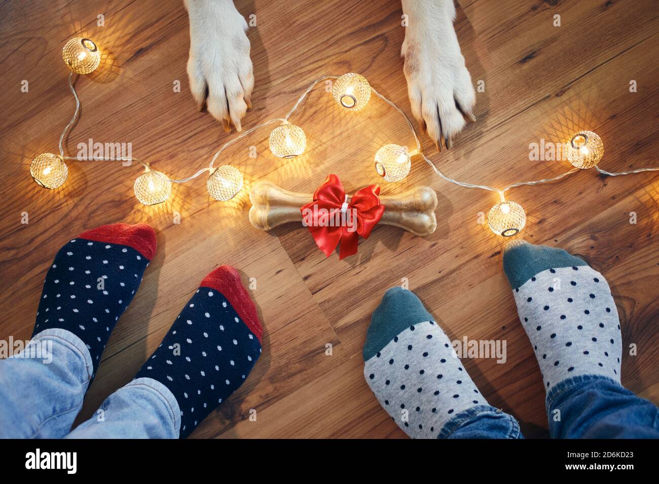 Holiday celebration at home. Bone with red ribbon as Christmas gift for dog. Stock Photo