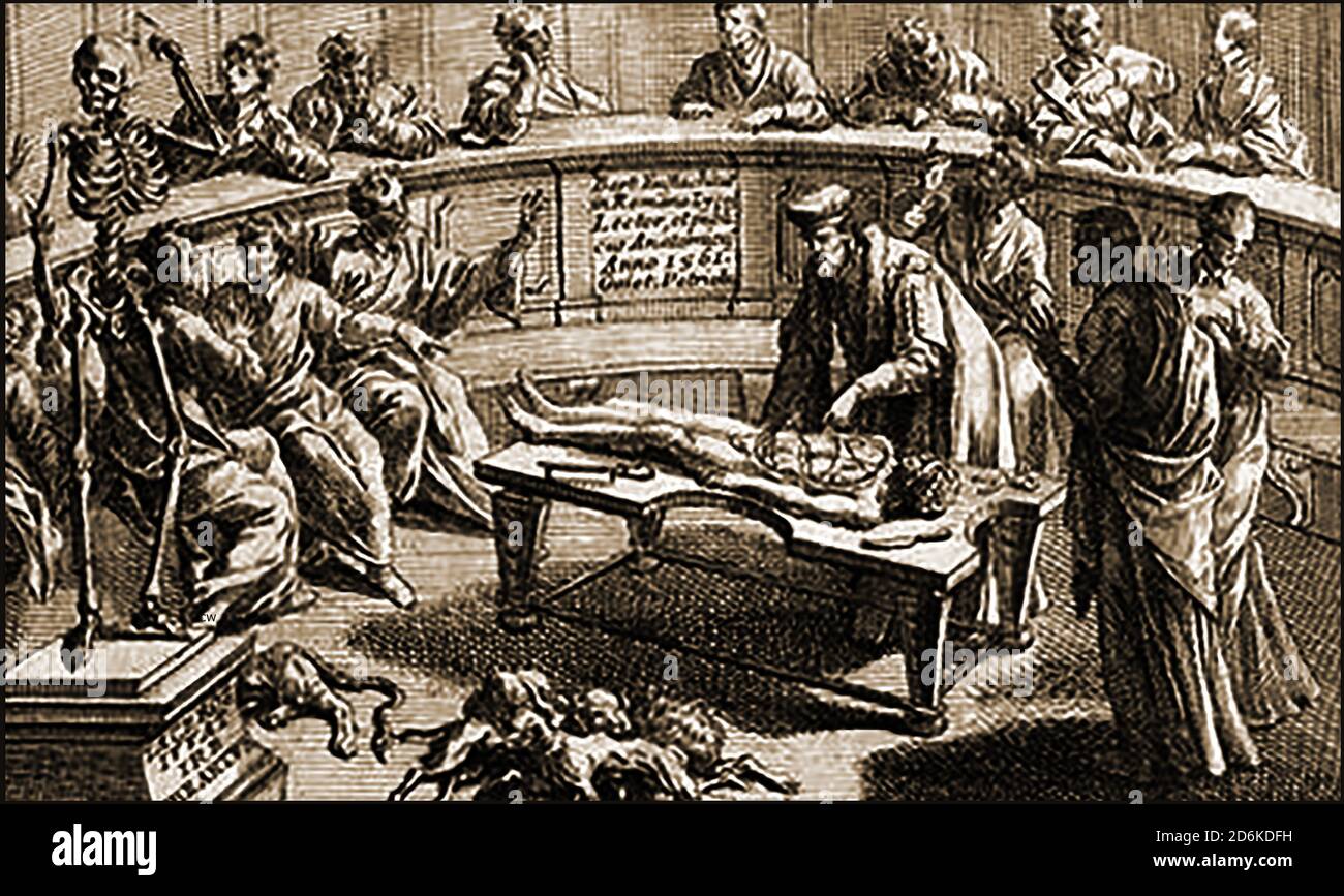 A 16TH CENTURY AUTOPSY aka   Post Mortem Examination or Necropsy. The dissection room  here has the date 1562 on the wall, Dogs lie around on the floor as the surgeon cuts open the body in front of his students or audience. Historically there would have been  a negative attitude regarding dissection of the human body  but by the 1500s, the autopsy was generally accepted by the Catholic Church, marking the way for an accepted systematic approach for the study of human pathology, Stock Photo