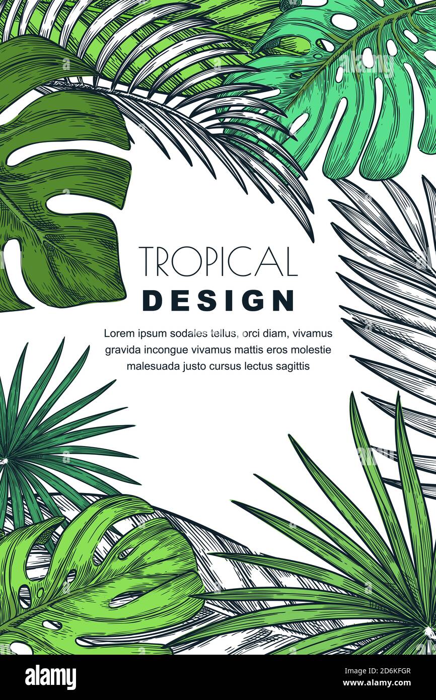 Poster, banner or greeting card frame with tropical palm leaves. Vector hand drawn sketch illustration of jungle exotic plants. Stock Vector