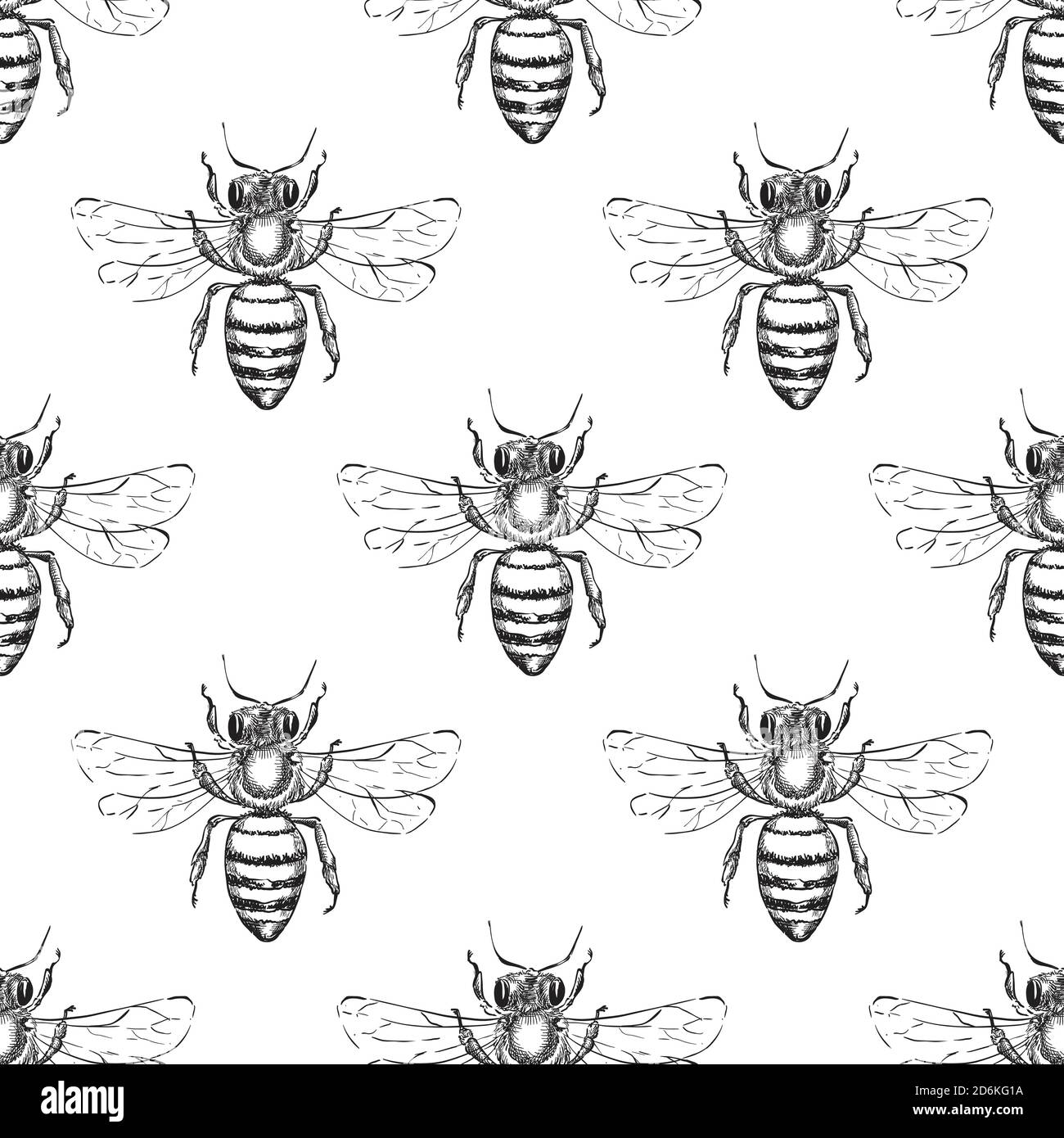 Bee seamless vector pattern. Sketch hand drawn illustration of honeybee. Fashion textile print or honey packaging background design. Stock Vector