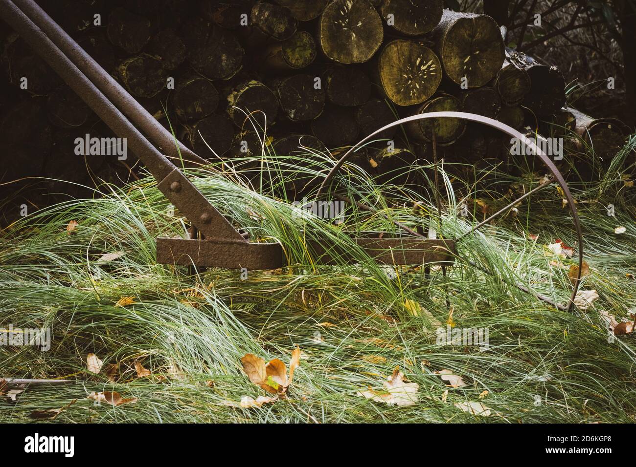 Old Tiller Wheel in Long Grass Stock Photo