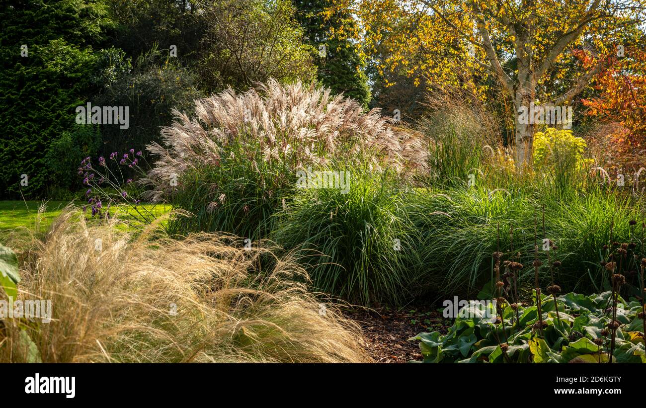 Ornamental botanical gardens hi-res stock photography and images - Alamy