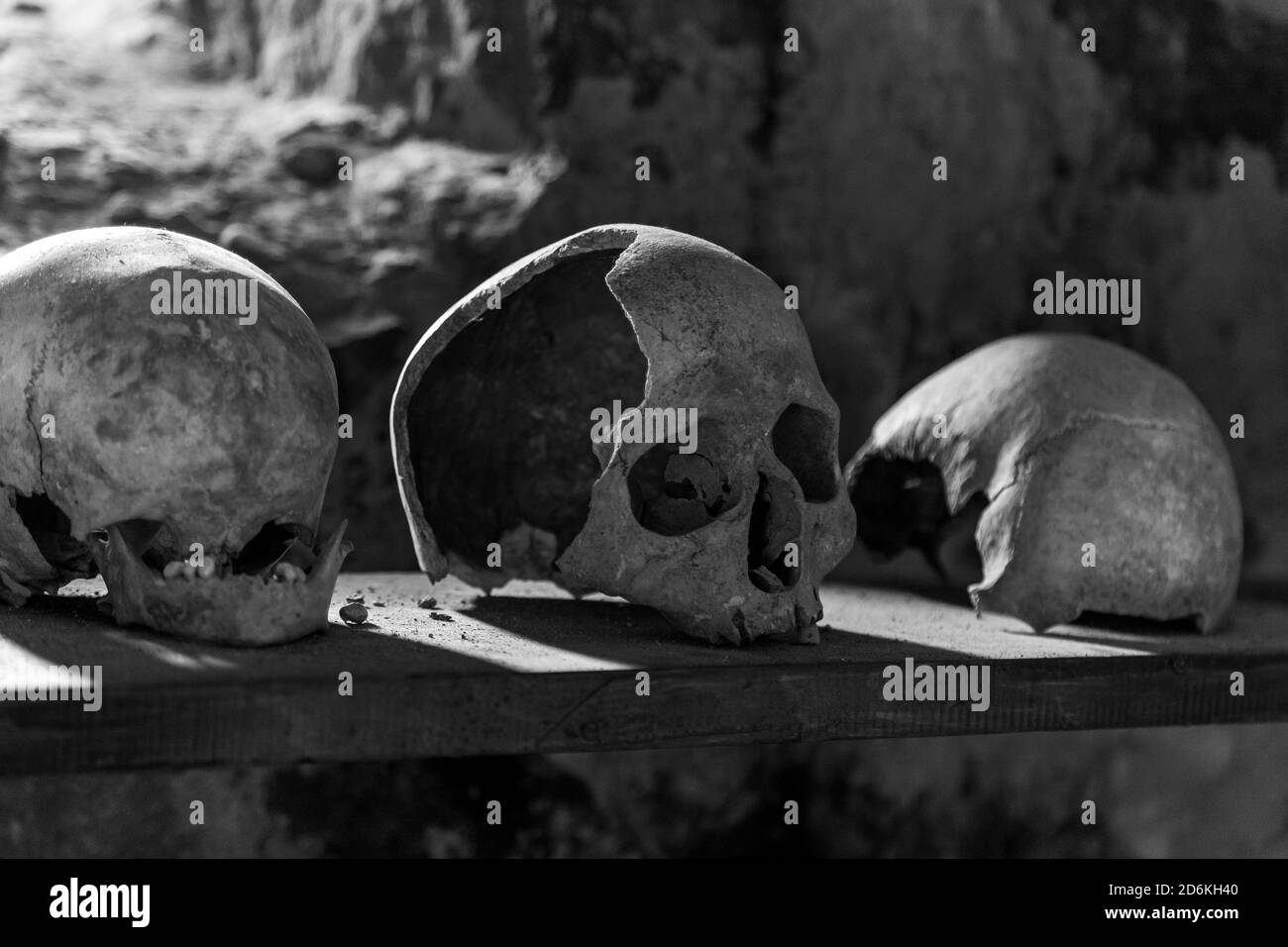 Human skulls on a wooden shelf in a stone crypt Stock Photo