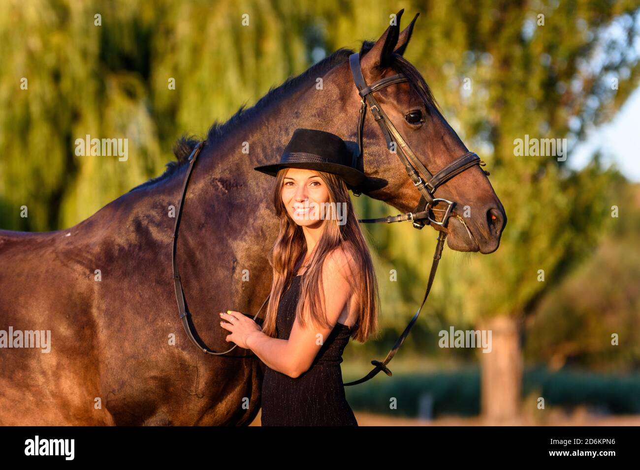 Beautiful girl hugs a horse in the rays of the setting sun Stock Photo
