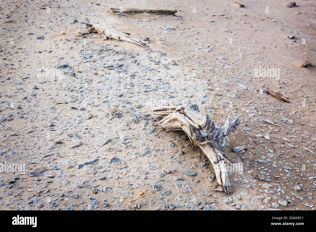 ecological disaster in desert died-out vegetation Stock Photo