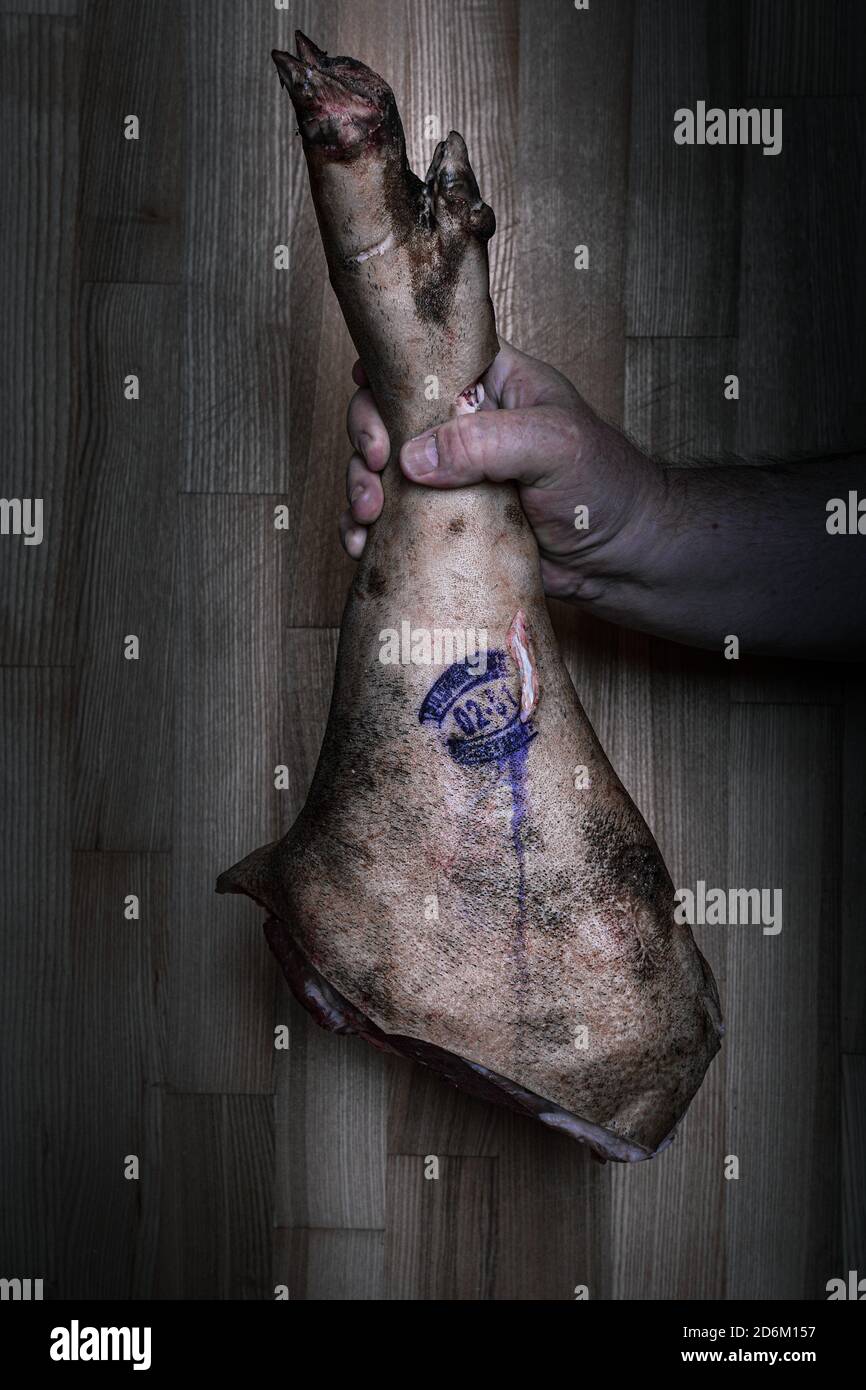 A man holds a leg of pork in his hand with a print, artistic processing in the style of dark and moody Stock Photo