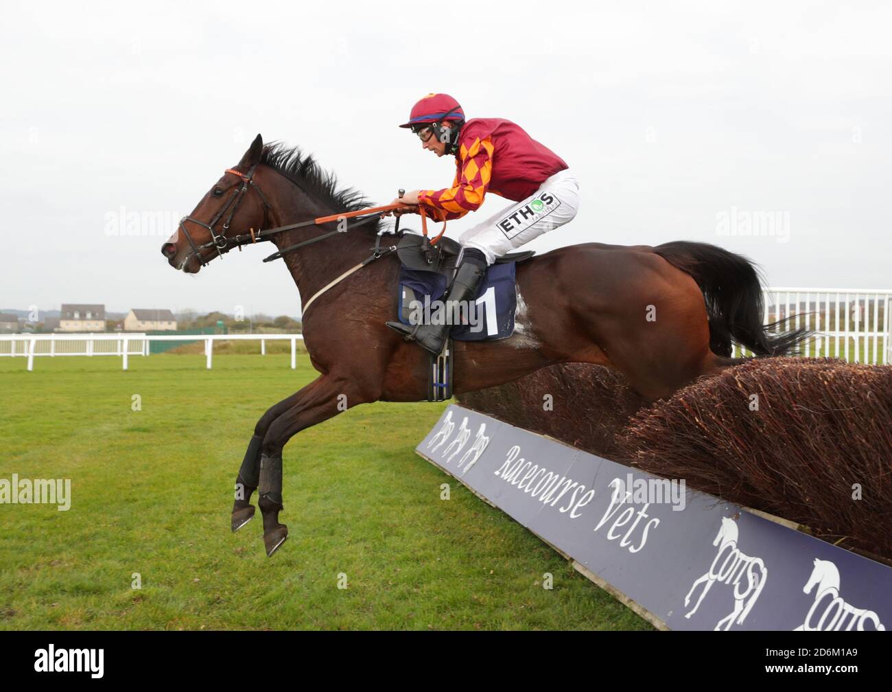 Adrian Heskin on board Emitom in the Canter Carpet High Performance Surfaces (Norton's Coin Trophy) Novices' Chase at Ffos Las Racecourse. Stock Photo