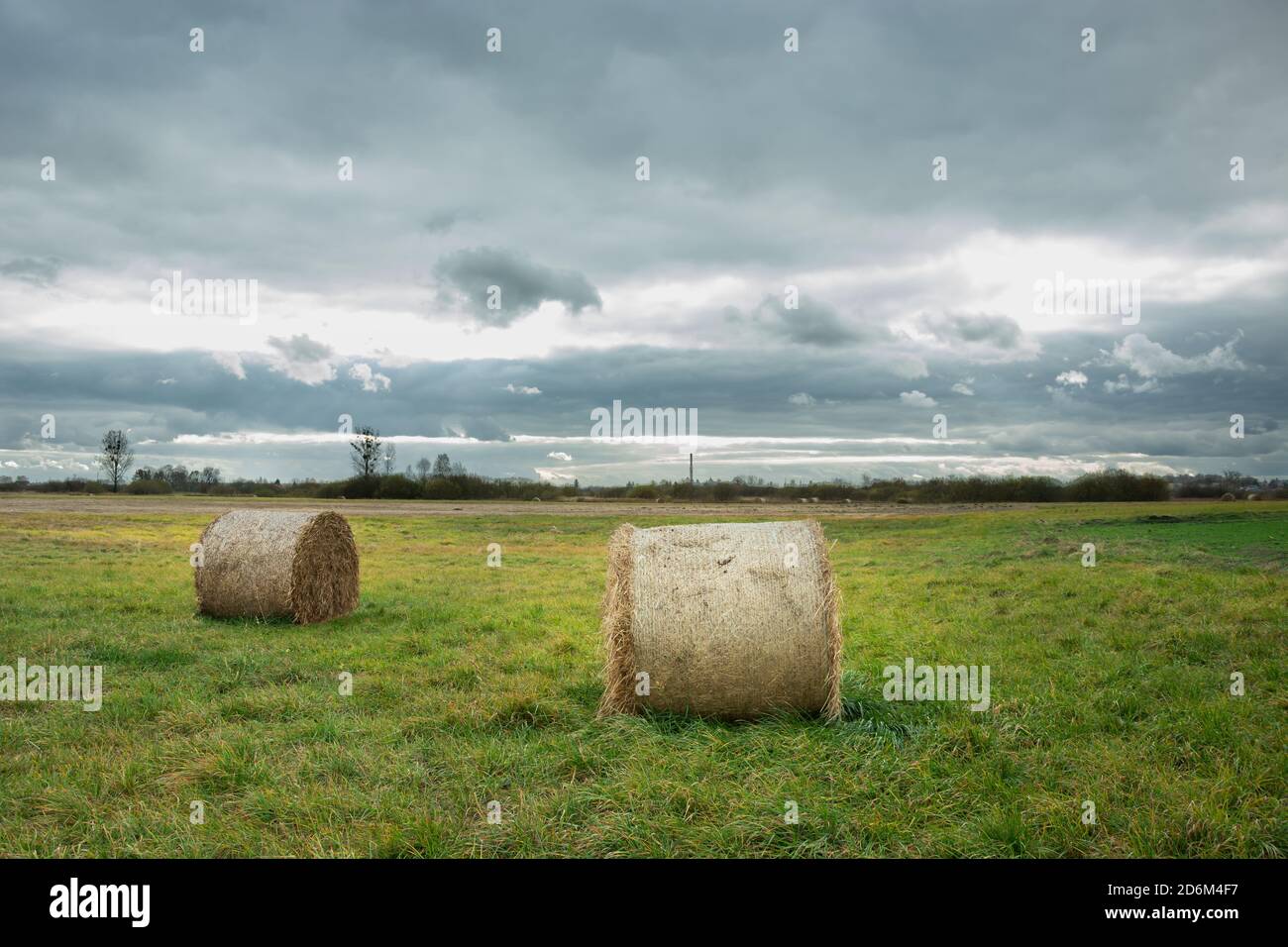 Hay bales lying in the meadow and cloudy sky Stock Photo - Alamy