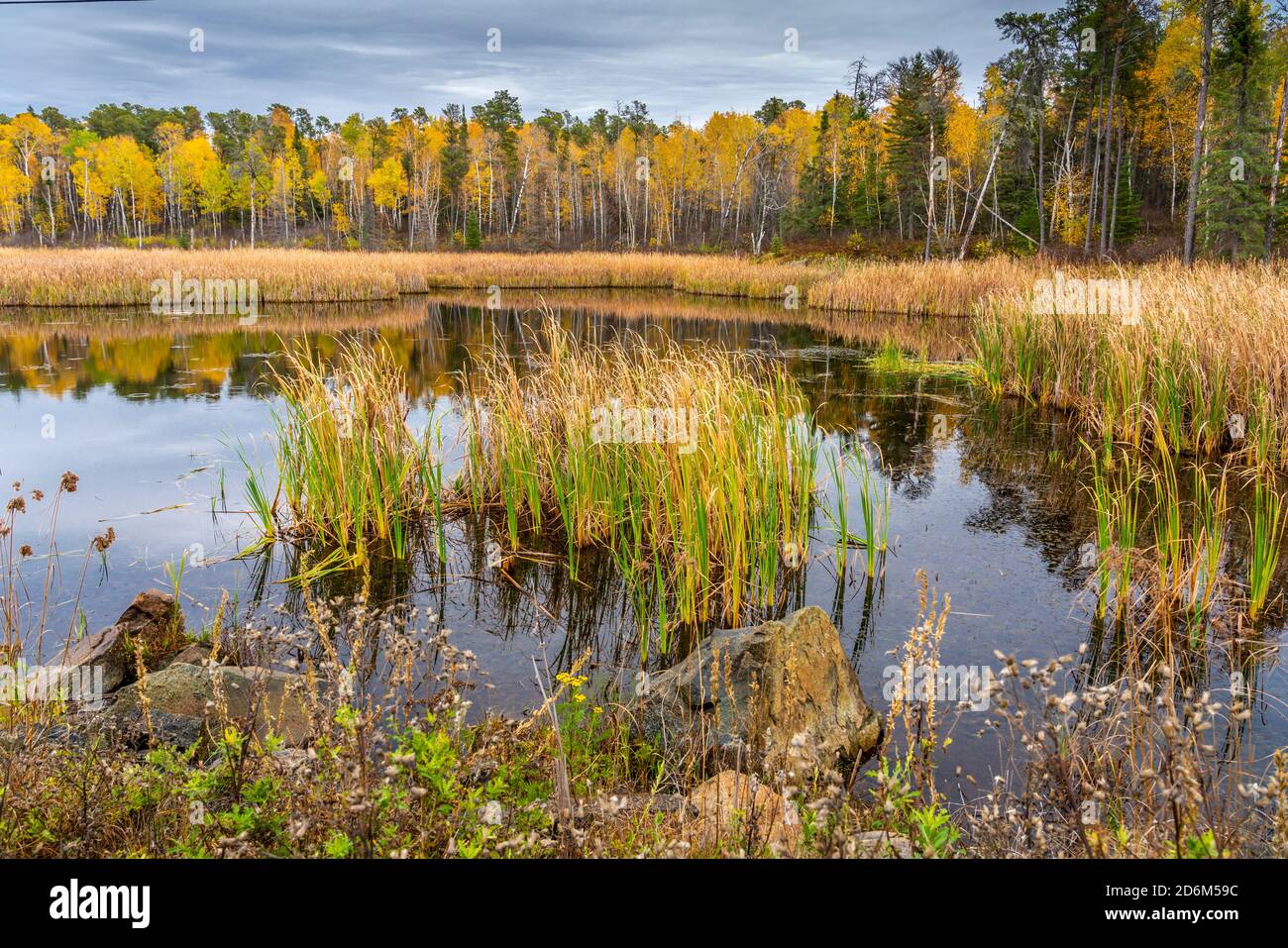 Fall foliage color near Nestor Falls, Ontario, Canada Stock Photo Alamy