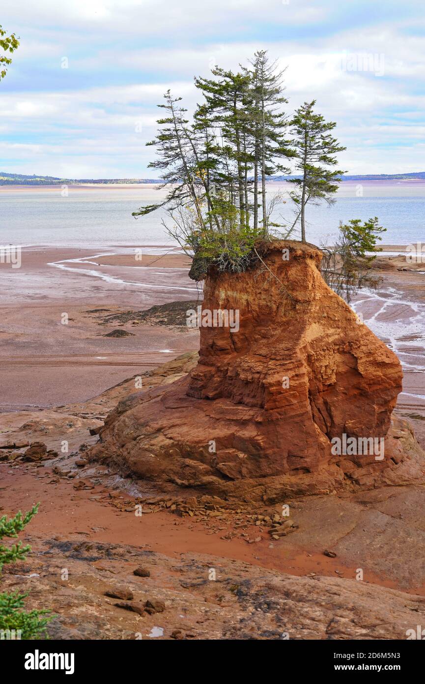 Flower Pot rocks, Soley Cove, Five Islands area, Nova Scotia, Canada