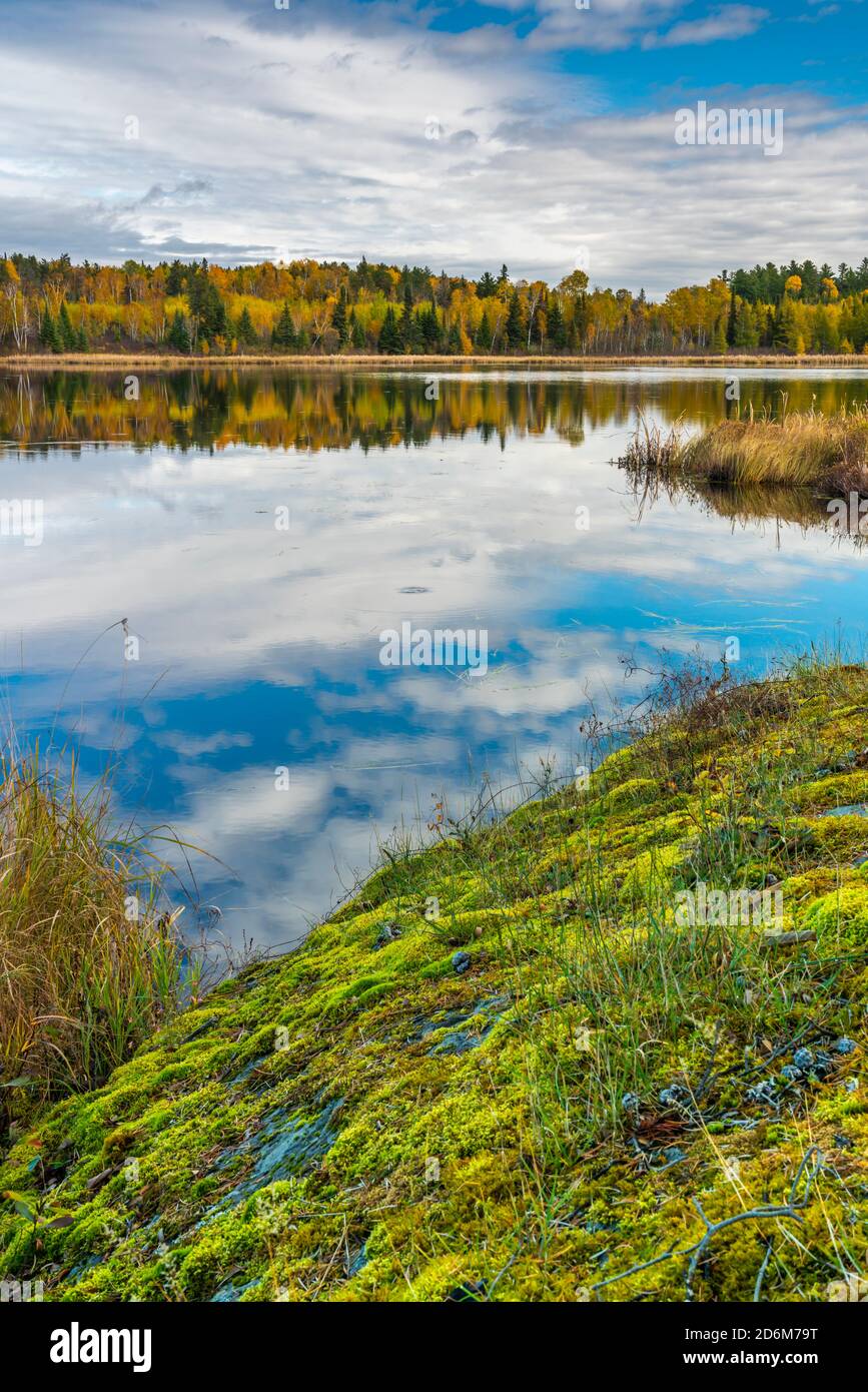 Fall foliage color near Sioux Narrows, Ontario, Canada Stock Photo Alamy
