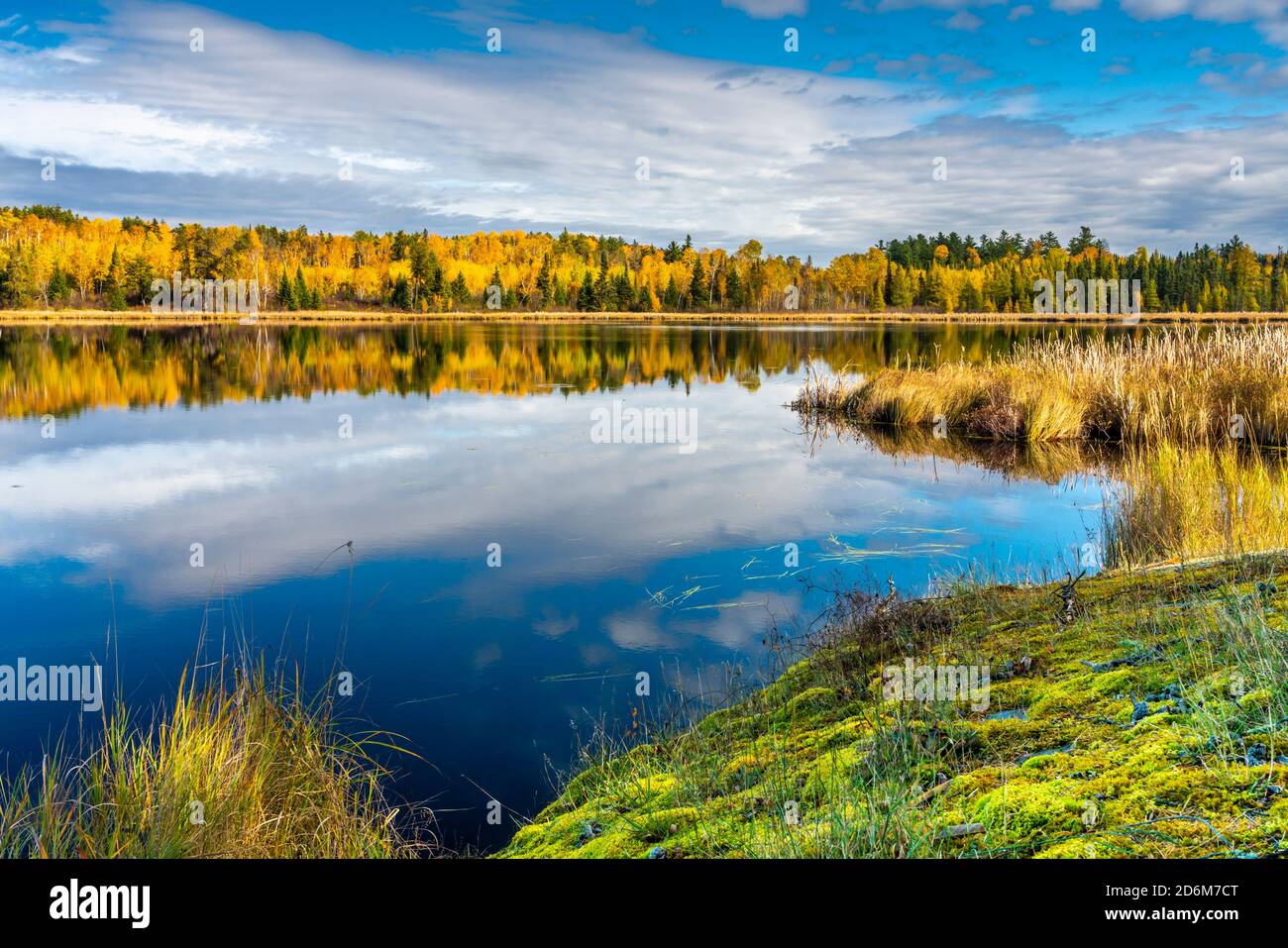 Fall foliage color near Sioux Narrows, Ontario, Canada Stock Photo Alamy