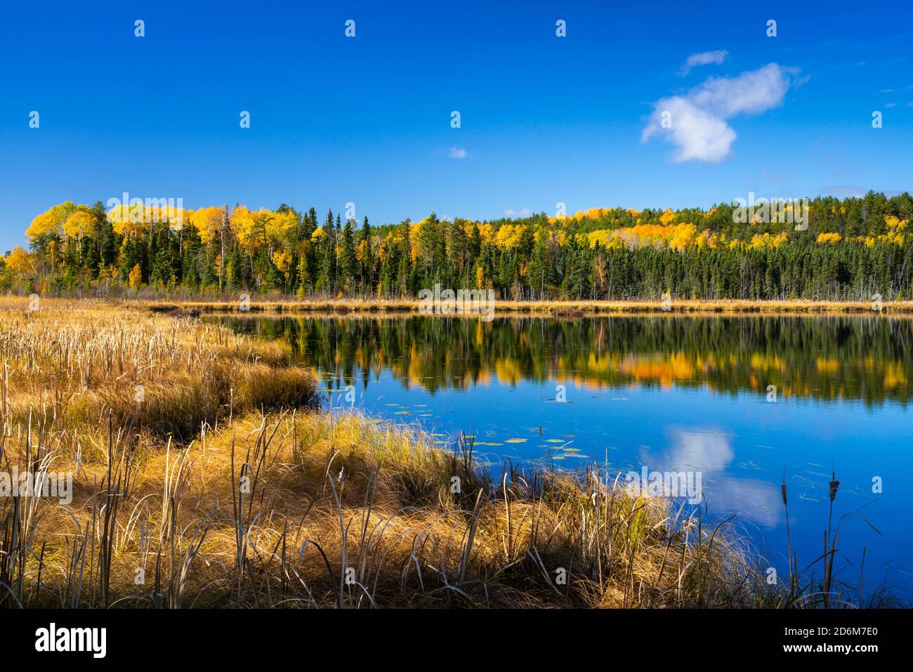 Fall foliage color near Sioux Narrows, Ontario, Canada Stock Photo Alamy