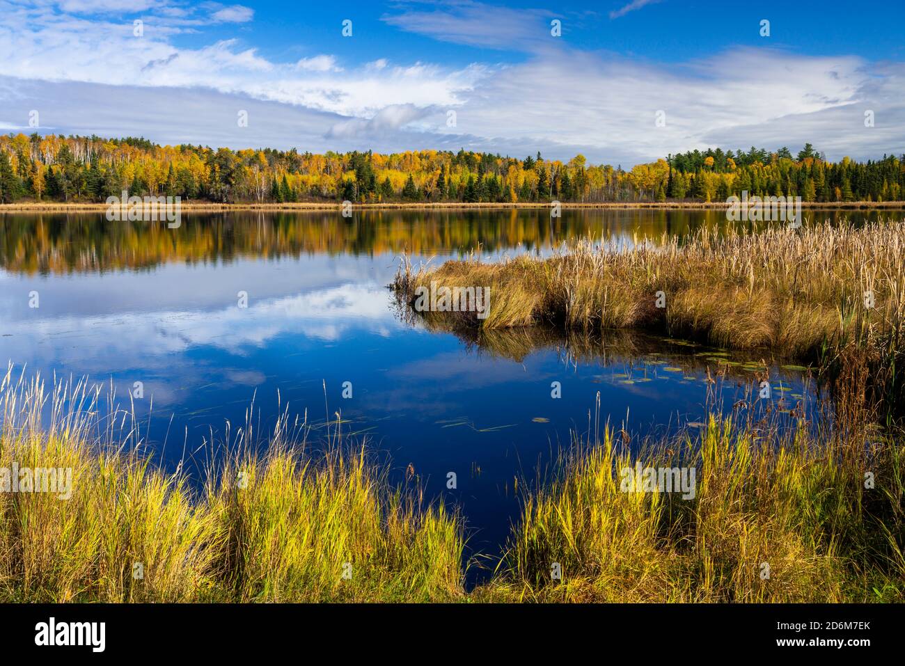 Fall foliage color near Sioux Narrows, Ontario, Canada Stock Photo Alamy
