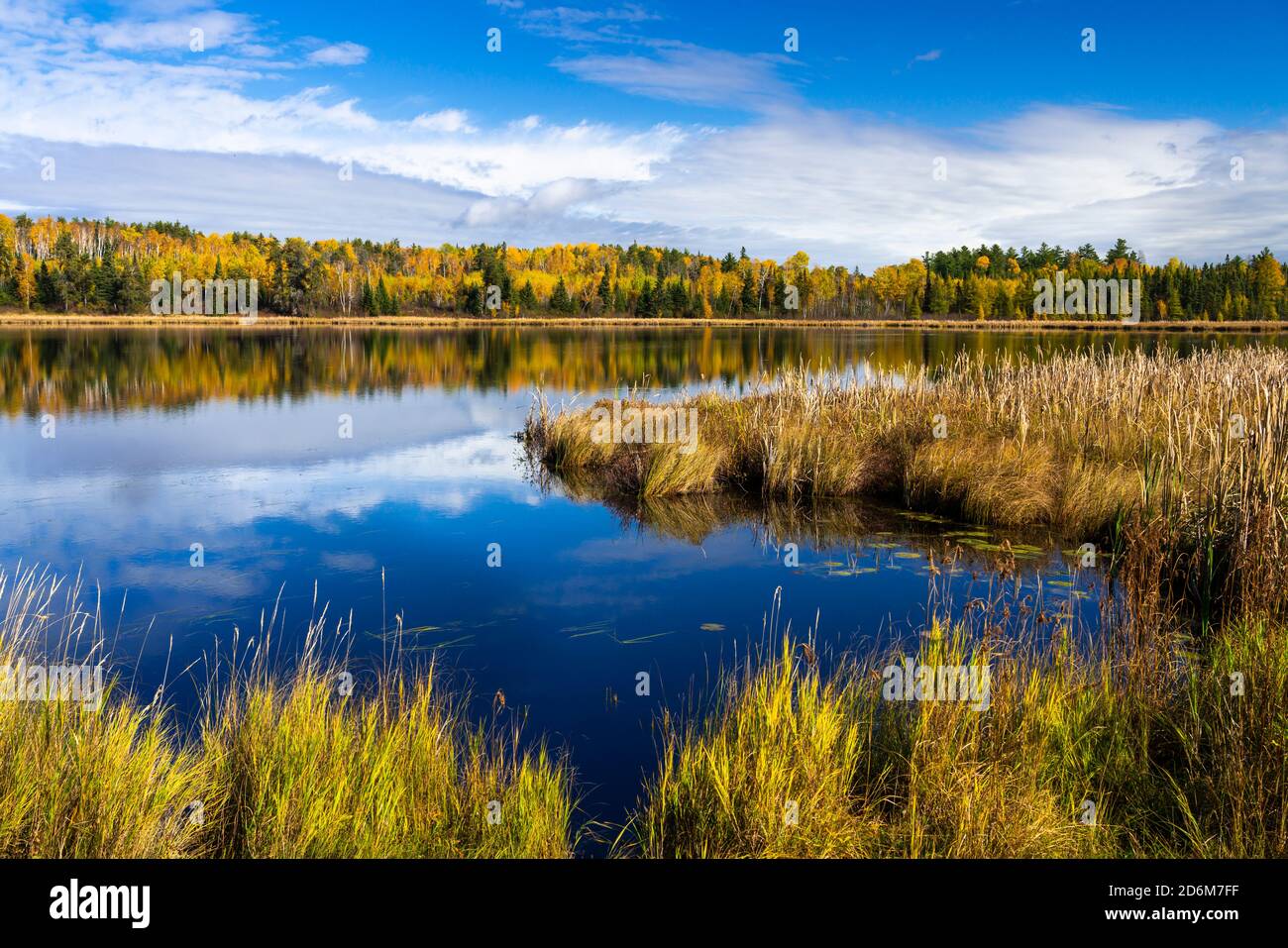 Fall foliage color near Sioux Narrows, Ontario, Canada Stock Photo Alamy
