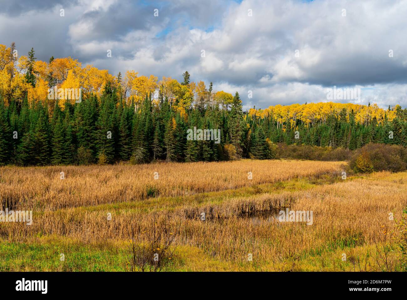 Fall foliage color near Kenora, Ontario, Canada Stock Photo Alamy