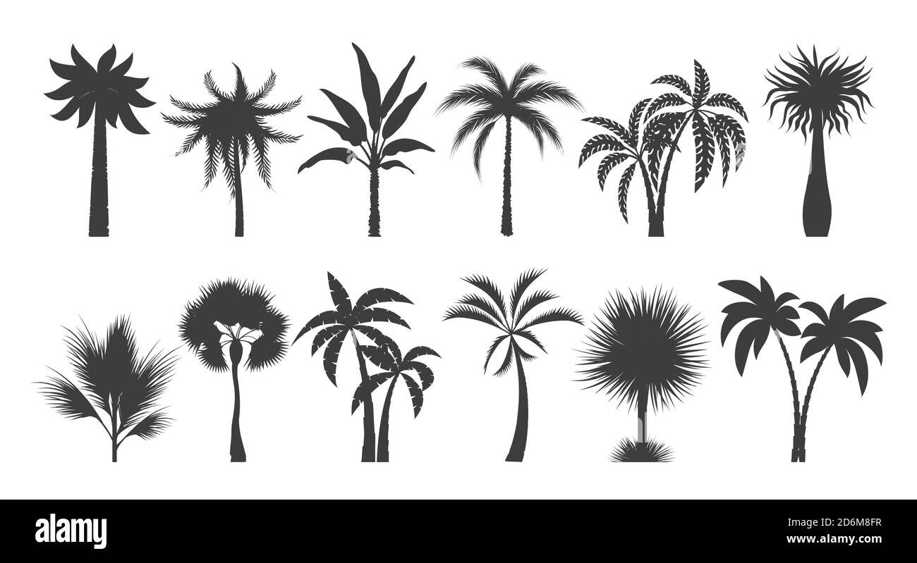 Palm tree silhouette drawings Stock Vector