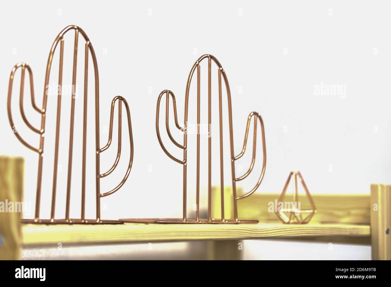 minimal style home decoration. metallic cactus on a wooden shelf ...
